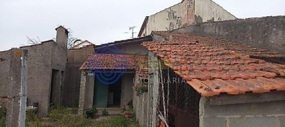 4 bedrooms House in Torres Novas, Portugal No. 14487 19