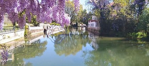 4 bedrooms House in Torres Novas, Portugal No. 14487 33