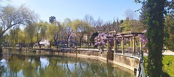 4 bedrooms House in Torres Novas, Portugal No. 14487 35