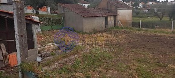 4 bedrooms House in Torres Novas, Portugal No. 14487 24