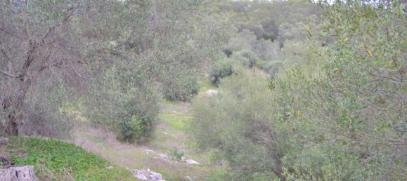 Hotel em Corfu, Greece 9500 m² N.º 4402 4