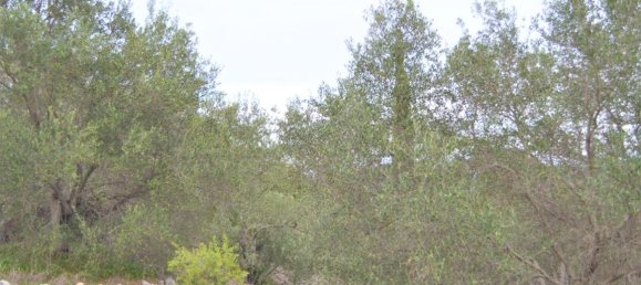 Hotel em Corfu, Greece 9500 m² N.º 4402 2