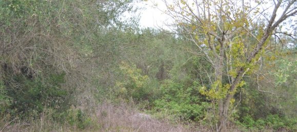 Hotel em Corfu, Greece 9500 m² N.º 4402 5