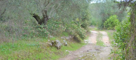 Hotel em Corfu, Greece 9500 m² N.º 4402 6