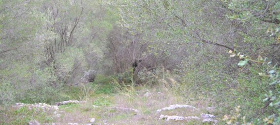 Hotel em Corfu, Greece 9500 m² N.º 4402 3