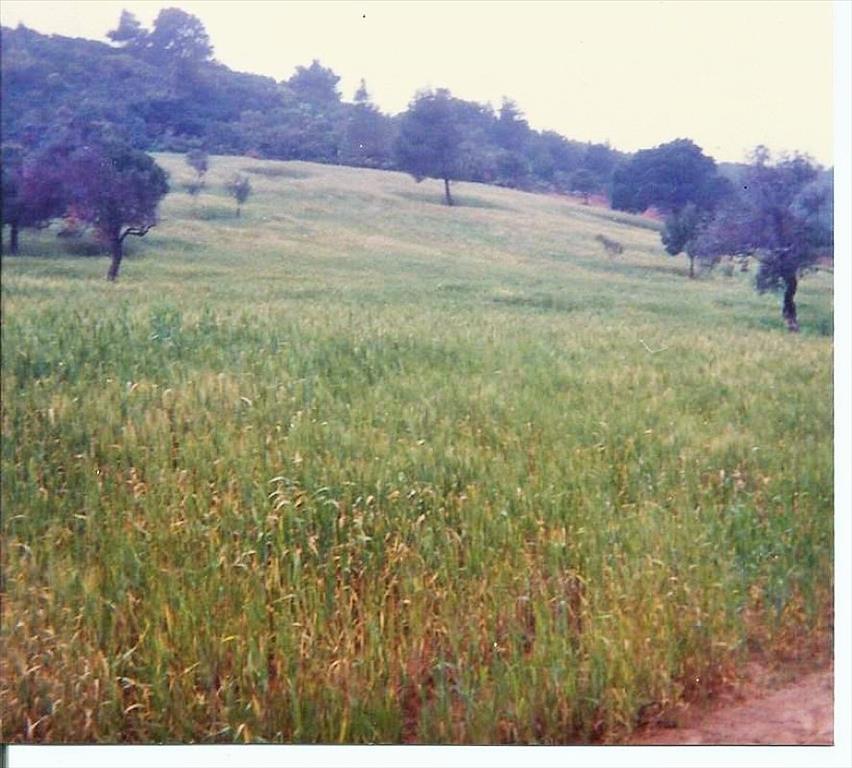 Отель, гостиница 93000м² в Магнисия, Греция № 6197