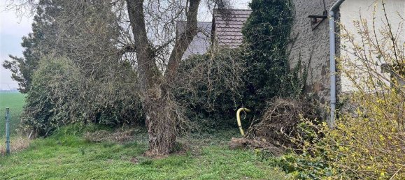 4 rooms Farm in Nordsachsen, Germany No. 320820 4