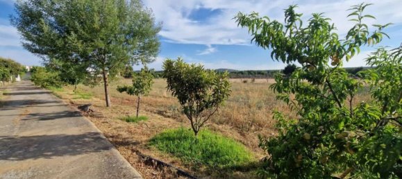 4 غرف نوم منزل في Ciudad Rodrigo, Spain رقم 83226 31