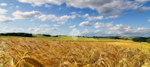 Terrain à Modena, Italy 1100m² No. 203851 9