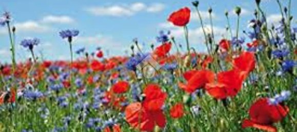 Terrain à Modena, Italy 1100m² No. 203851 2