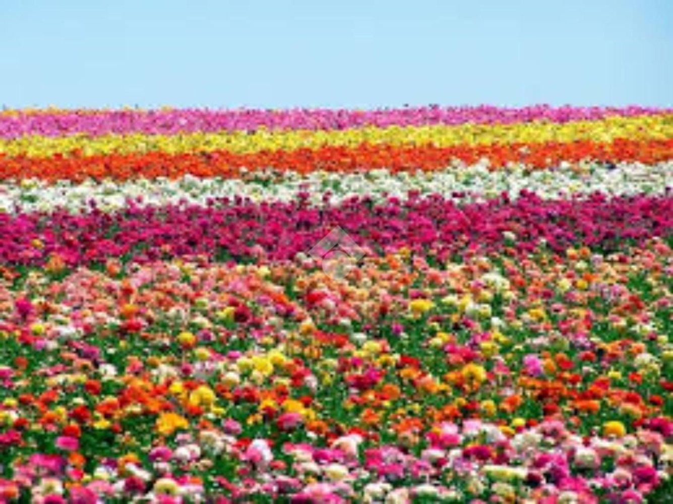 Terrain à Modena, Italy 1100m² No. 203851