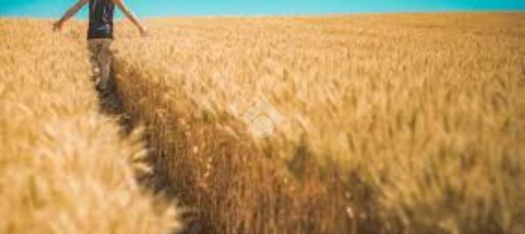 Terrain à Modena, Italy 1100m² No. 203851 7