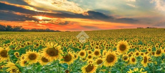 Terrain à Modena, Italy 1100m² No. 203851 13