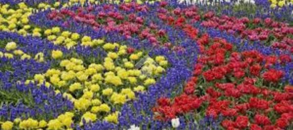 Terrain à Modena, Italy 1100m² No. 203851 18