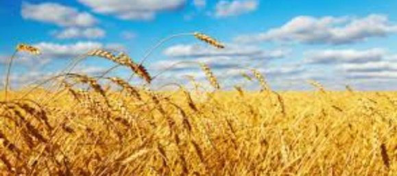 Terrain à Modena, Italy 1100m² No. 203851 3