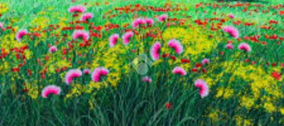 Terrain à Modena, Italy 1100m² No. 203851 10