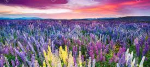 Terrain à Modena, Italy 1100m² No. 203851 4