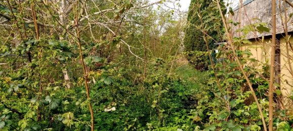 Adosado de 5 habitaciónes en Nordwestmecklenburg, Germany No. 240525 11