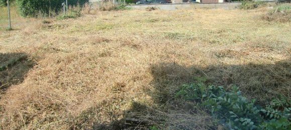 6 rooms Farm in Vogelsbergkreis, Germany No. 31475 5