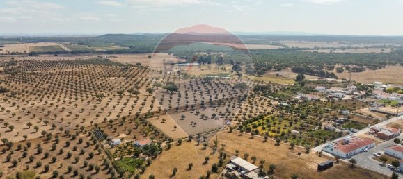 5 bedrooms House in Arraiolos, Portugal No. 177666 44