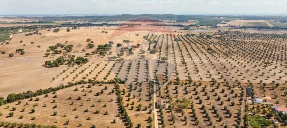 5 bedrooms House in Arraiolos, Portugal No. 177666 43