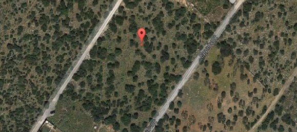 Hotel in Marathon, Greece 5704m², Nr. 6314 2