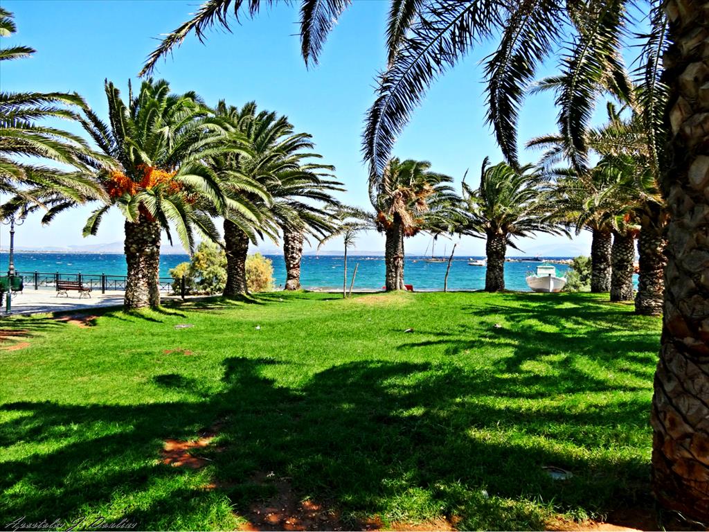 5704m² Hotel in Marathon, Greece No. 6314