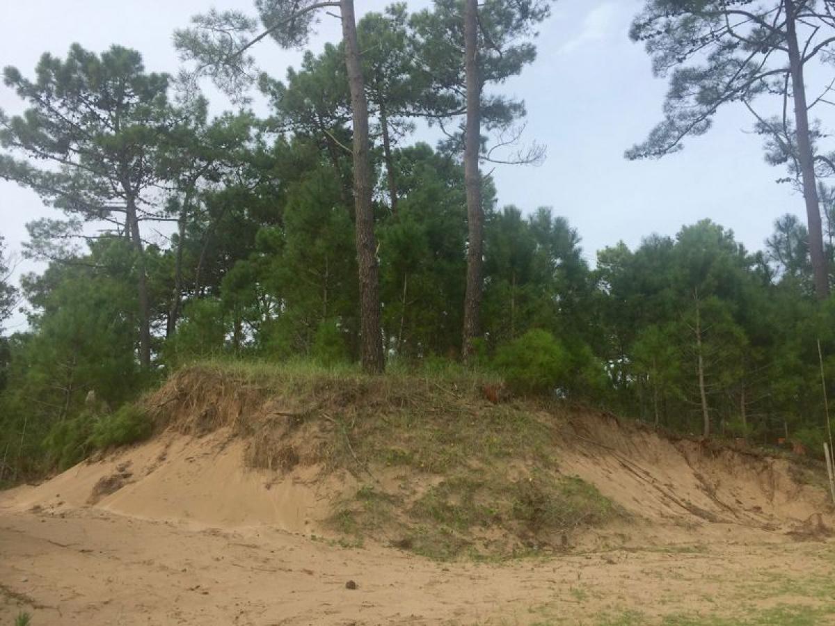 Grundstück in Mar del Plata, Argentina, Nr. 117082