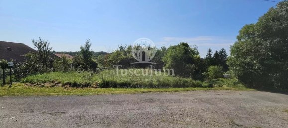  Land in Remoiville, France No. 95434 7