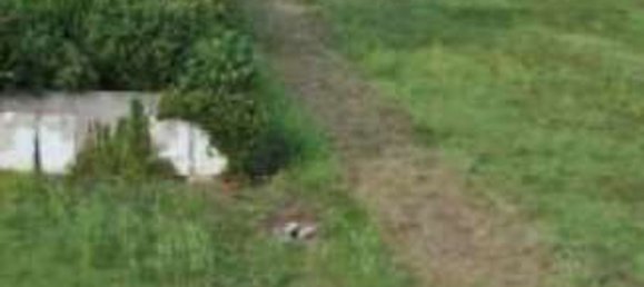 Terrain à Stanghella, Italy 10315m² No. 59477 21