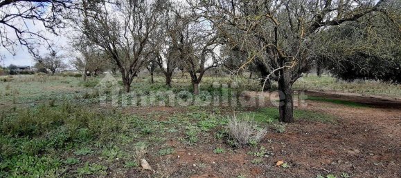 4 bedrooms Villa in Vittoria, Italy No. 192767 18