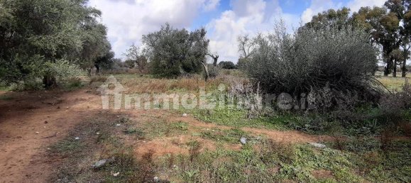 4 bedrooms Villa in Vittoria, Italy No. 192767 9