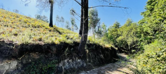 Land in Vieira do Minho, Portugal No. 168713 10