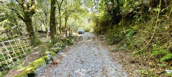 Land in Vieira do Minho, Portugal No. 168713 16