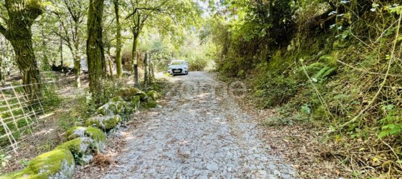 Land in Vieira do Minho, Portugal No. 168713 13