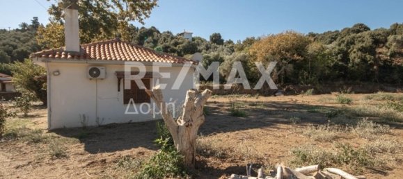 4 Schlafzimmer Haus in Magnesia, Greece, Nr. 8412 23