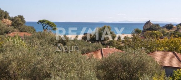 Коммерческая недвижимость с 4 спальнями в Магнисия, Греция № 8412 21