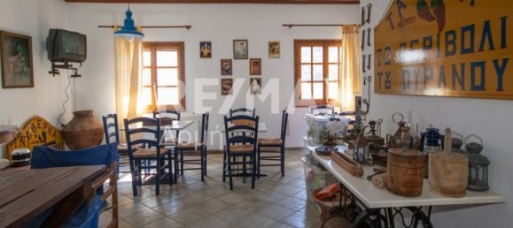 Коммерческая недвижимость с 4 спальнями в Магнисия, Греция № 8412 14