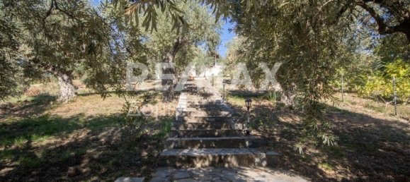 Коммерческая недвижимость с 4 спальнями в Магнисия, Греция № 8412 19