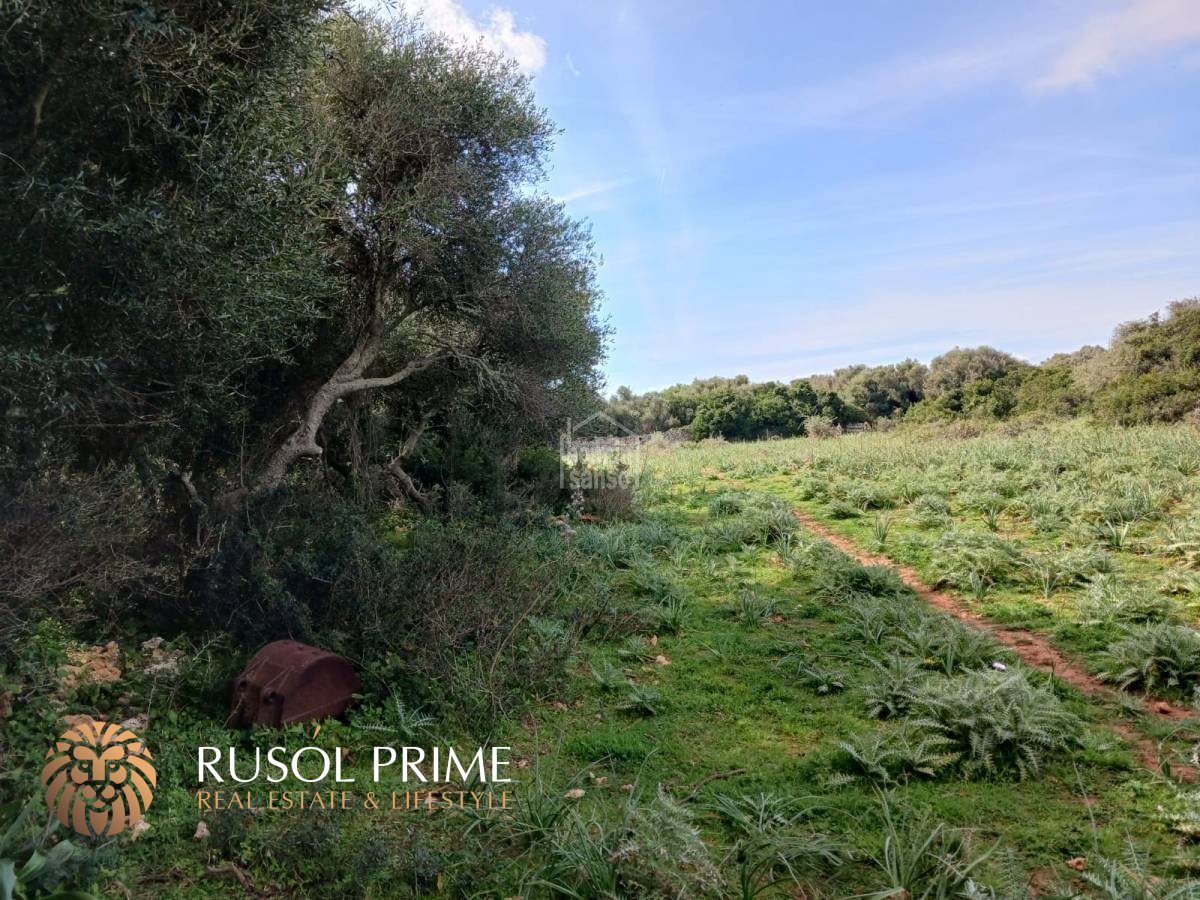  قطعة أرض في Sant Lluis, Spain 71015متر مربع رقم 5179