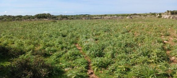  قطعة أرض في Sant Lluis, Spain 71015متر مربع رقم 5179 7