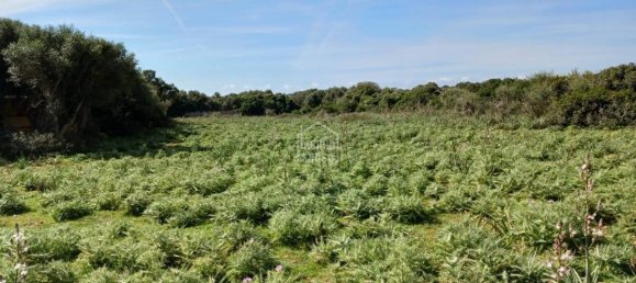  قطعة أرض في Sant Lluis, Spain 71015متر مربع رقم 5179 2