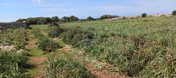  قطعة أرض في Sant Lluis, Spain 71015متر مربع رقم 5179 9