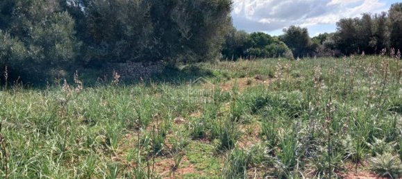  قطعة أرض في Sant Lluis, Spain 71015متر مربع رقم 5179 10