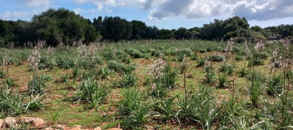  قطعة أرض في Sant Lluis, Spain 71015متر مربع رقم 5179 4