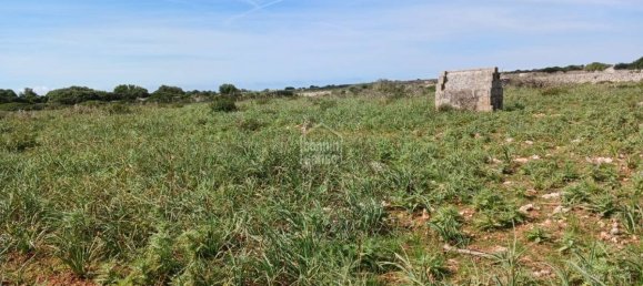  قطعة أرض في Sant Lluis, Spain 71015متر مربع رقم 5179 6