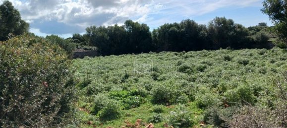  قطعة أرض في Sant Lluis, Spain 71015متر مربع رقم 5179 5