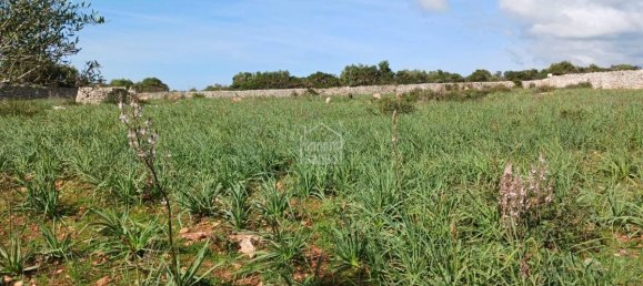  قطعة أرض في Sant Lluis, Spain 71015متر مربع رقم 5179 8