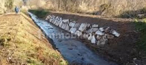 5 bedrooms House in Capannori, Italy No. 330069 17