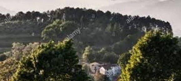 5 bedrooms House in Capannori, Italy No. 330069 16